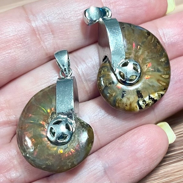 Ammonite Nautilus Pendants in Sterling Silver, Unique Jewelry Accessory, His and Her Matching Pendants, Perfect for Nature Lovers Gift