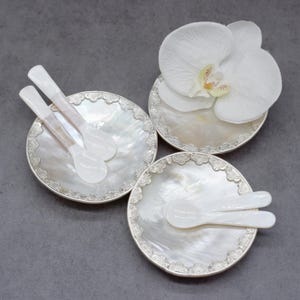 Mother of Pearl Round Plate With Silver Trim, Delicate Elegant Caviar Dish, Candy Tray, Elegant Home Decor Accent, Collectible Dish