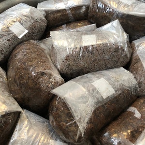 Sterilized Masters Mix 12lbs. Grow Mushrooms! GREAT YIELDS! Grow gourmet mushrooms from any spore!