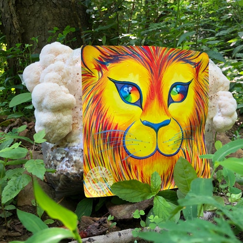 Lion's Mane Grow Kit Master's Mix W/straw Quart Jar Etsy