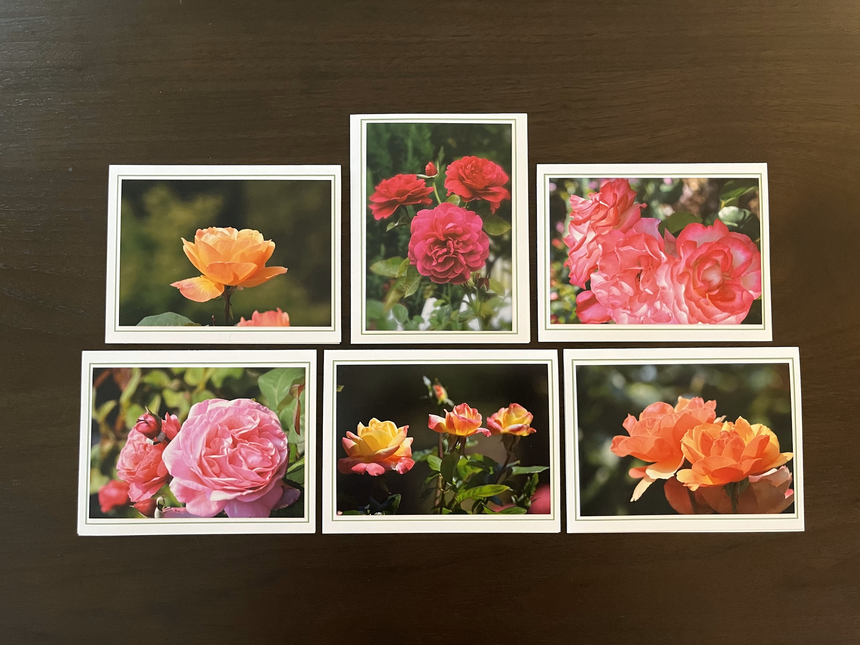Dahlia Flower Photo Note Card Set, Handmade Folded Blank Cards - Etsy