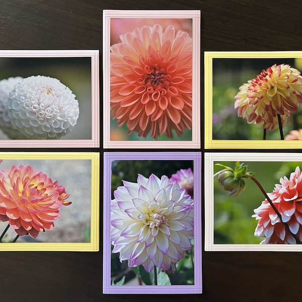 Flower Photo Note Cards, Set of 6 Handmade Blank Photo Cards with Envelopes, "Nature, Up Close" Dahlia Series 1, Choice of Sizes/Backgrounds
