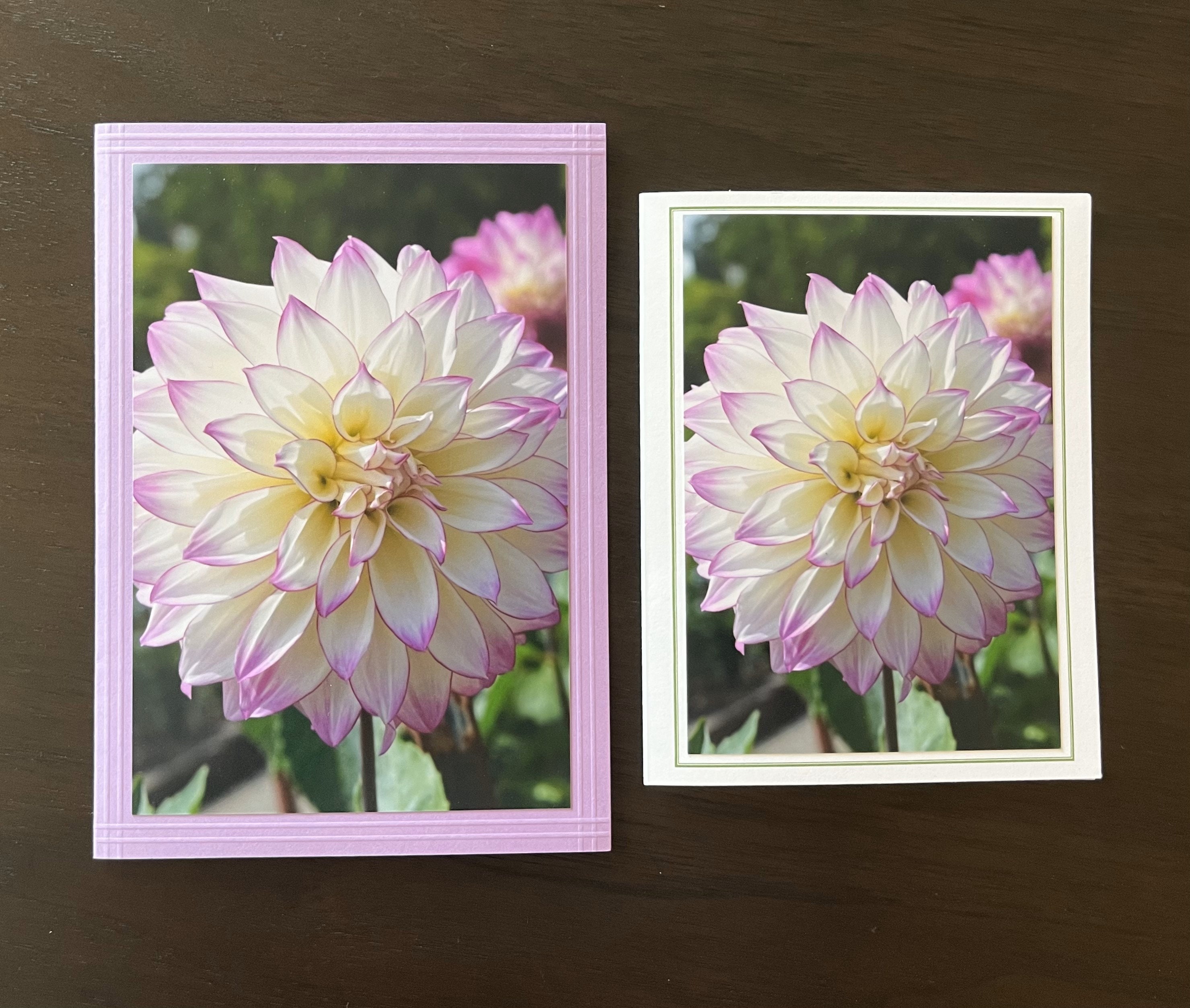 Handmade Dahlia Flower Photo Cards, Set of 6 Blank Folded Note Cards - Etsy