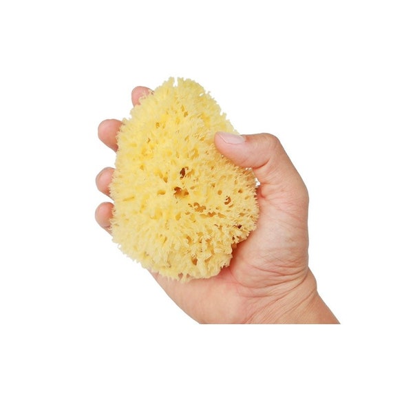 Natural Sea Sponge, Honeycomb, Fine Silk