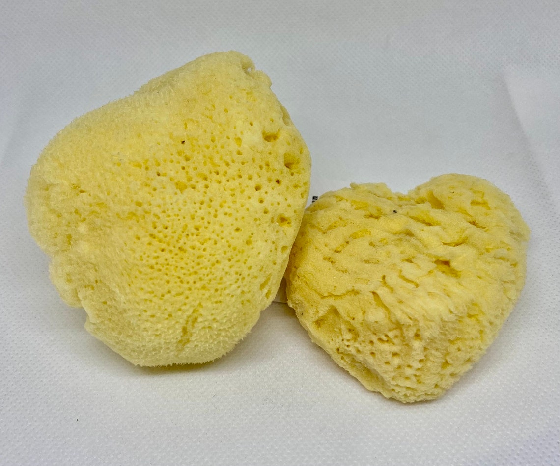 Natural Sea Sponges Fine silk Etsy
