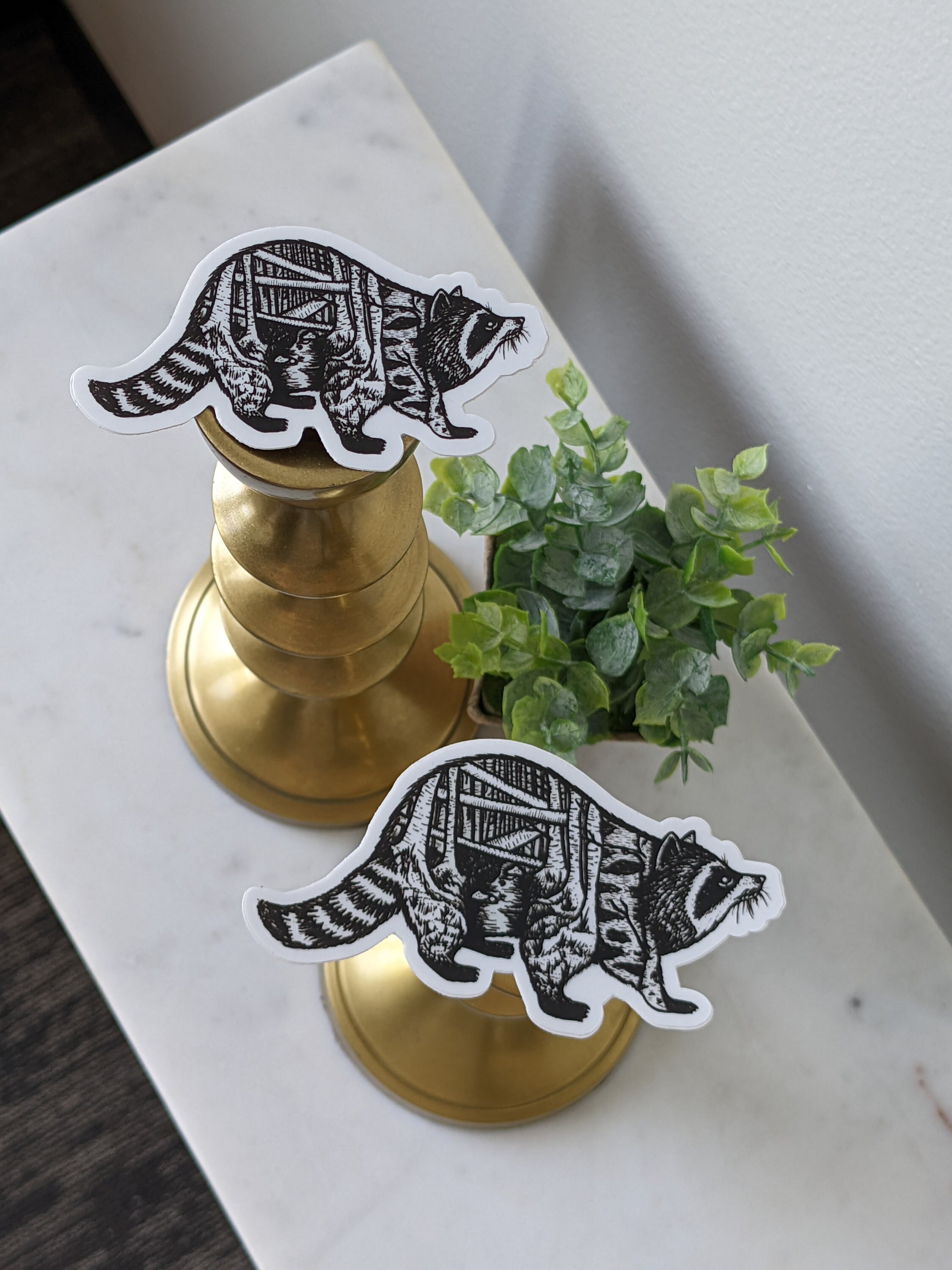Shoe Rack Raccoon Sticker Raccoon Vinyl Sticker - Etsy