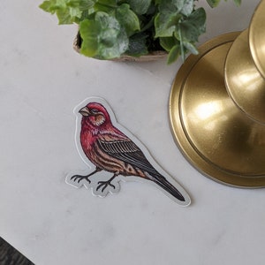House Finch Vinyl Sticker