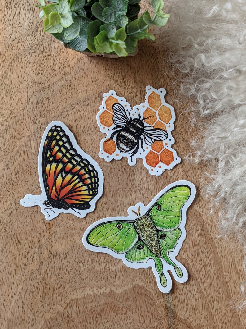 Pollen Sticker Pollinator Vinyl Sticker Collection - Singles or Bundle of 3 - Etsy