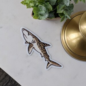 Shark Vinyl Sticker
