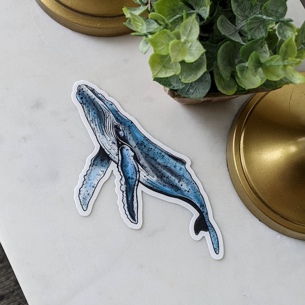 Blue Whale Vinyl Sticker