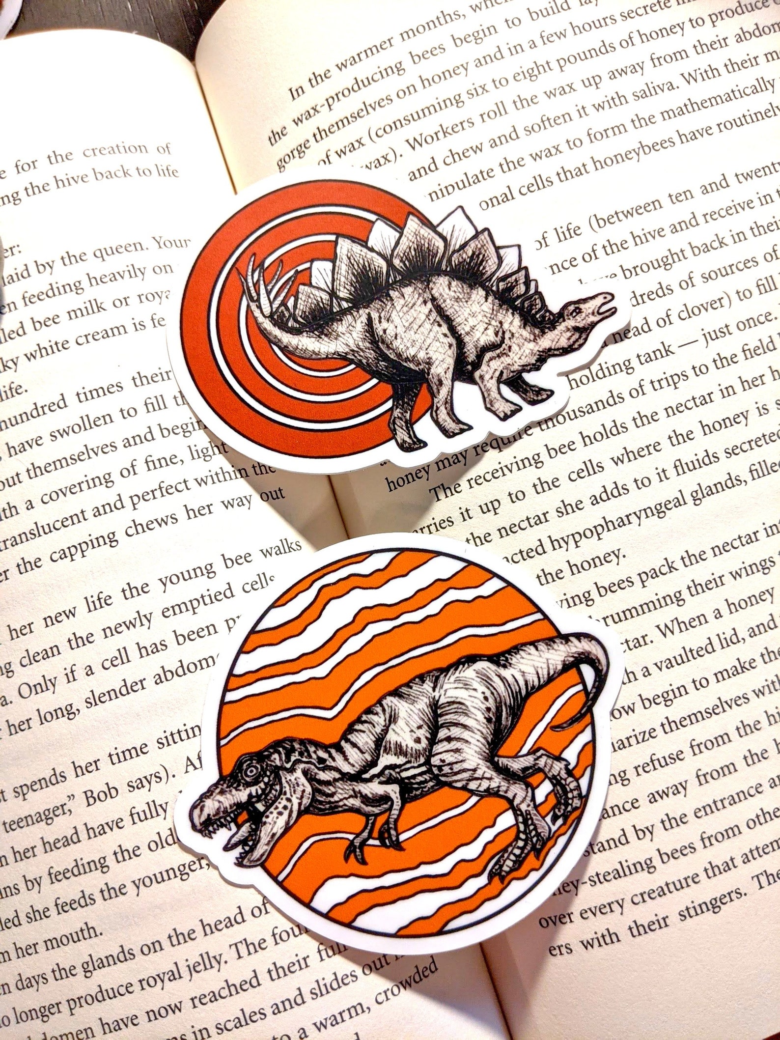 Dinosaur Vinyl Sticker Collection 1 Bundle of 2 Etsy UK