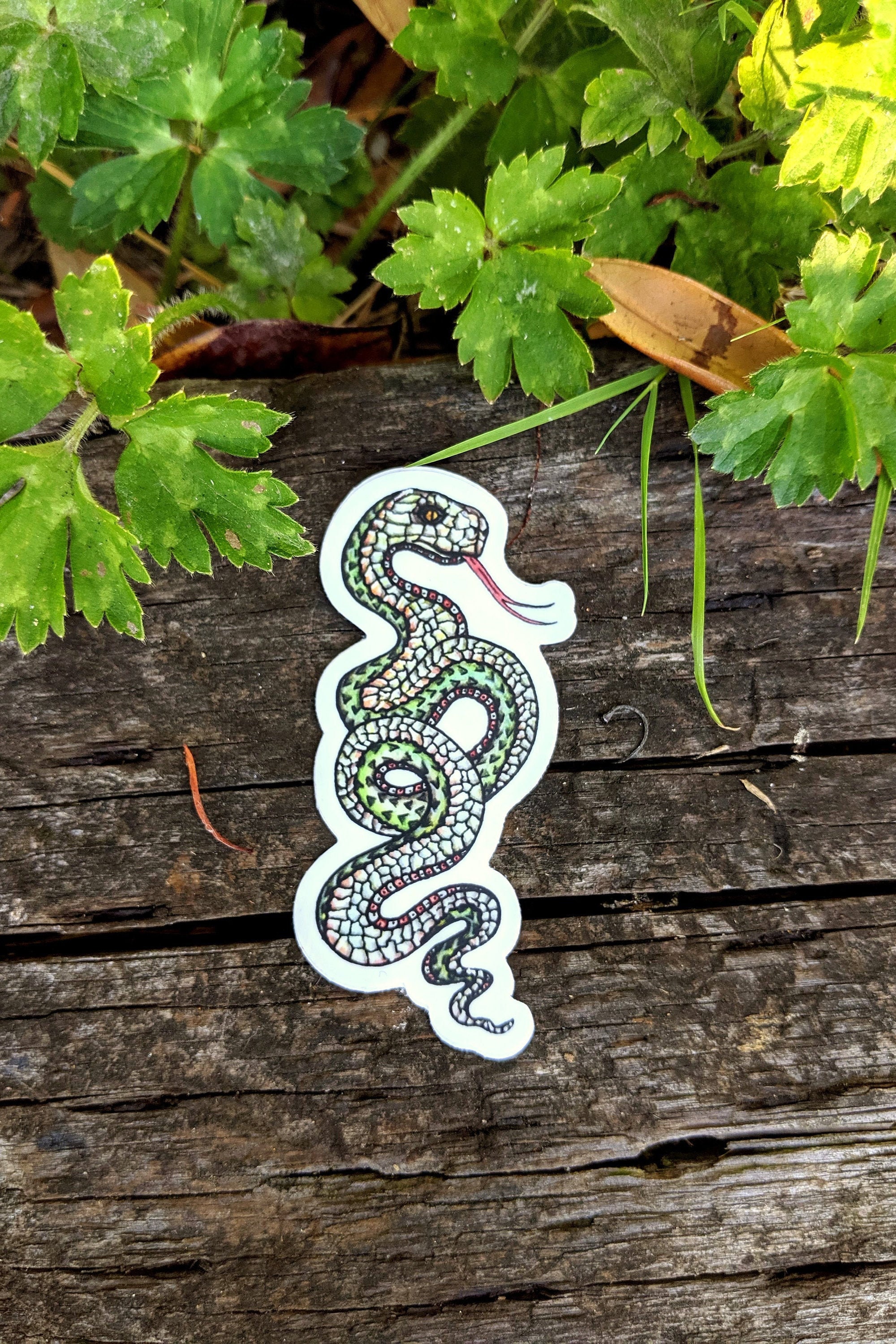 Snake Vinyl Sticker - Etsy