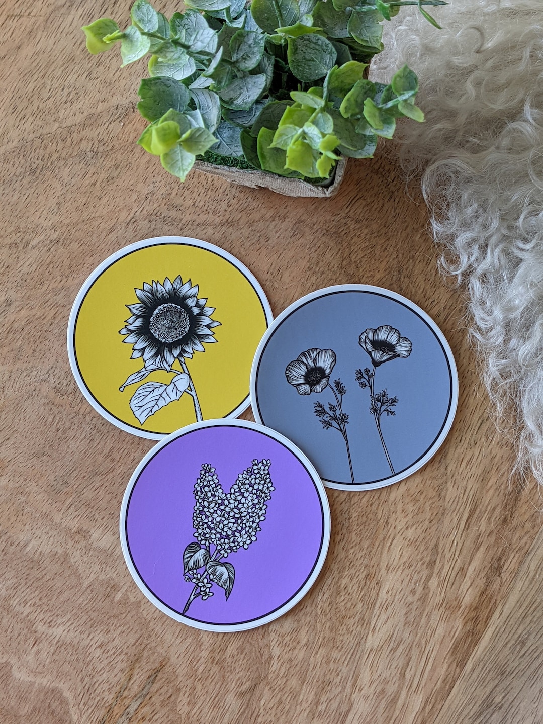 Conjunto De Pegatinas De Paquete Colección De Elementos De Pegatinas