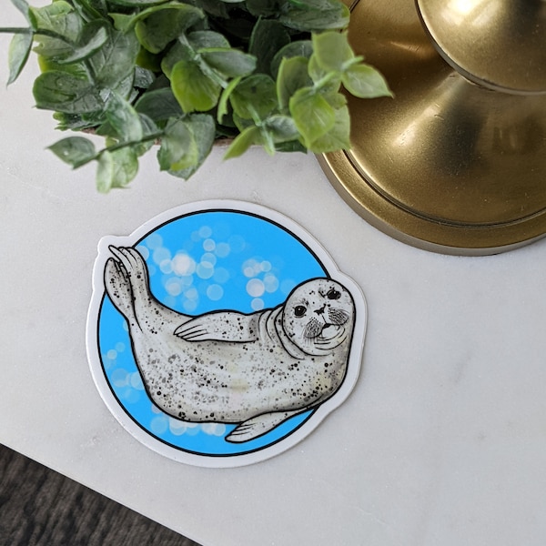 Harbor Seal Vinyl Sticker