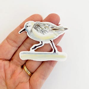 Ensemble d'autocollants bécasseau pluvier siffleur pour ordinateur portable bouteille d'eau autocollants oiseaux agenda agenda ornithologue amateur de plage observation des oiseaux Sticker oiseaux côtiers