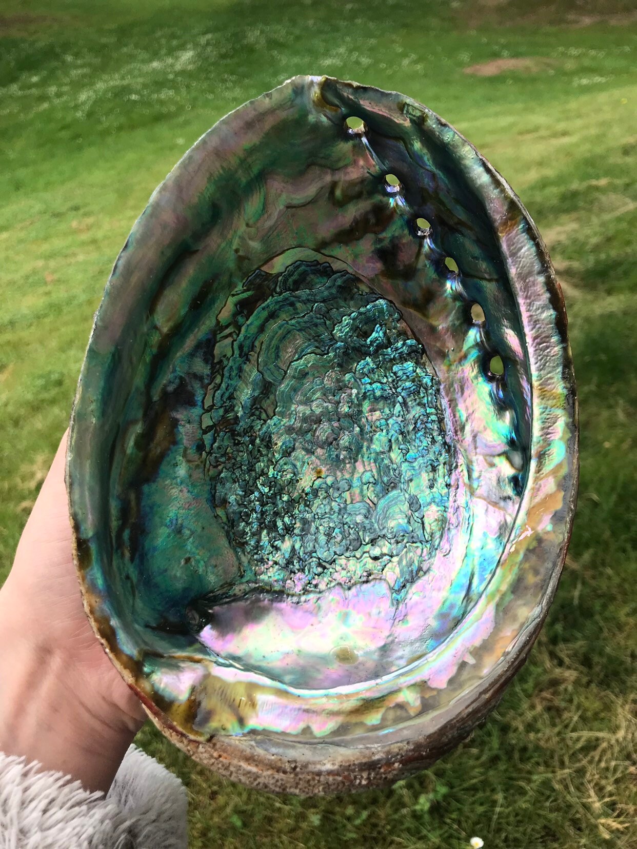 Orchard Heaters Smudge Pots for sale Only 2 left at 65