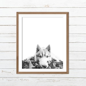 Husky impresión, impresión de perro divertido, negro blanco perro impresión