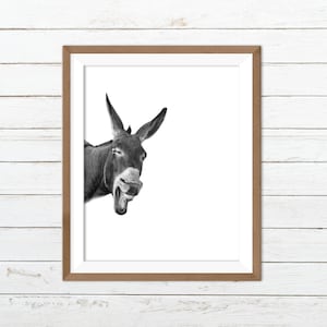 Estampado de burro, estampado animal divertido, estampado animal blanco negro