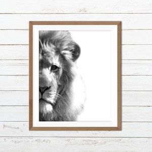 Lion print, lion wall art, lion printable