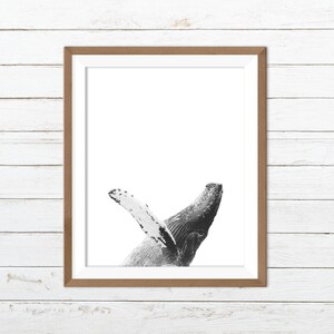 Whale wall art, whale print, black white fish art