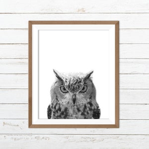 Owl print, owl wall art, bird print