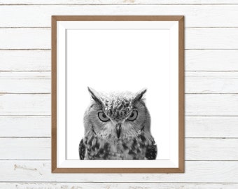 Owl print, owl wall art, bird print