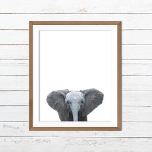 Baby Elefant Druck