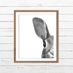 Black and white bunny print