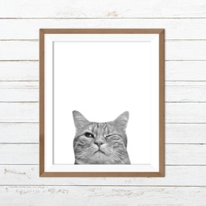 Funny cat print, cat nursery print, black and white cat print