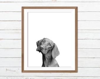 Dog nursery print, black and white dog prints