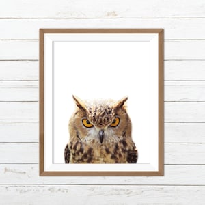 Owl printable