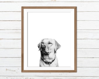 Labrador print, labrador wall art, black and white dog prints