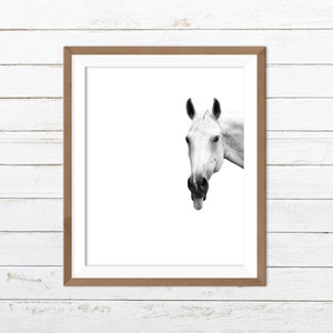 Black and white horse print, funny animal print