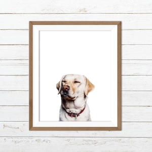 Lab prints, white labrador print, labrador wall art, dog print