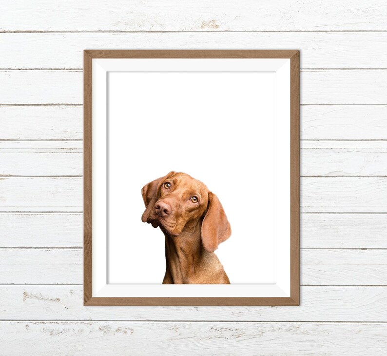Dog Wall Art, Dog Print, Dog Printable Etsy