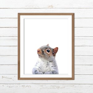 Squirrel print nursery