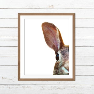 Hase-Wand-Kunst, Hase Druck, Hase druckbare