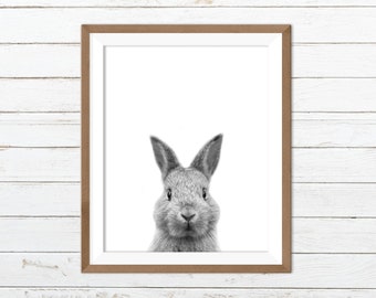 Black and white bunny print