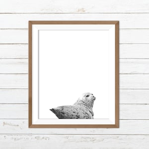 Seal print, seal wall art, black white animal print