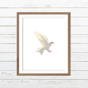 Dove print, dove printable, dove wall decor, bird print