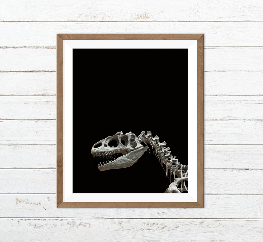 Dinosaur Skeleton Print, Dinosaur Skull Print, T Rex Print - Etsy