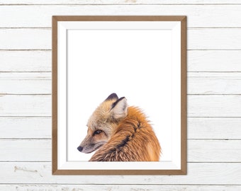 Fox printable, fox print, forest printable