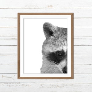 Raccoon print, raccoon wall art, black and white animal print