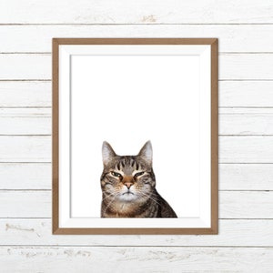 Funny cat print, funny cat art, cat wall art