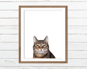 Funny cat print, funny cat art, cat wall art