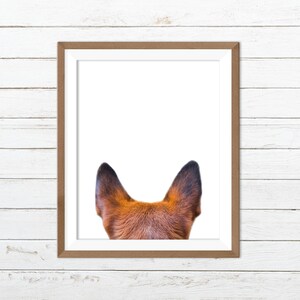 Fox print, fox wall art, fox printable