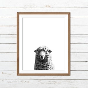 Estampa engraçada de ovelha, arte de parede de ovelha, estampa animal preta e branca