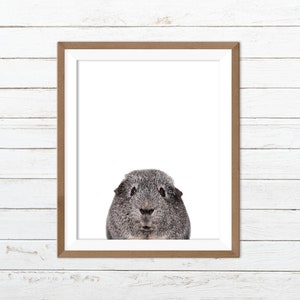 Guinea pig print, guinea pig printable, guinea pig wall art, mouse print