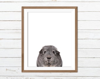 Guinea pig print, guinea pig printable, guinea pig wall art, mouse print