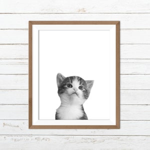 Kitten print, cat print, black and white cat print